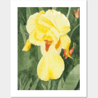 Ode to Georgia #4 - Yellow Iris Posters and Art